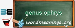WordMeaning blackboard for genus ophrys